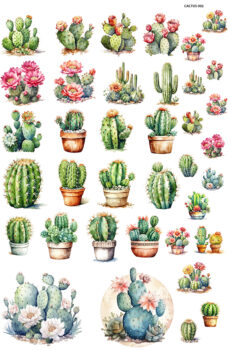 CACTUS002