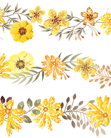 BORDEFLORAL002