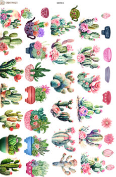 Plantas