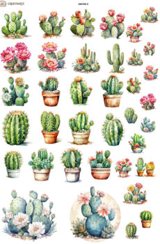 CACTUS002
