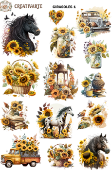 GIRASOLES001 DTF
