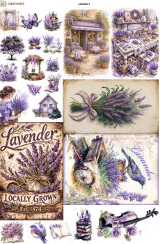 LAVANDA1