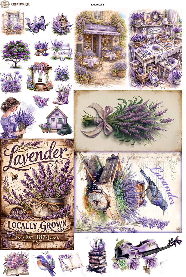 LAVANDA1