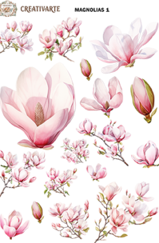 MAGNOLIAS1 DTF