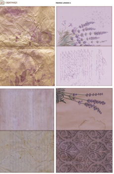 Paginas