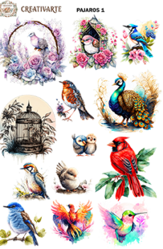 Pajaros