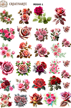 ROSAS001 DTF