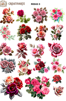 ROSAS003 DTF