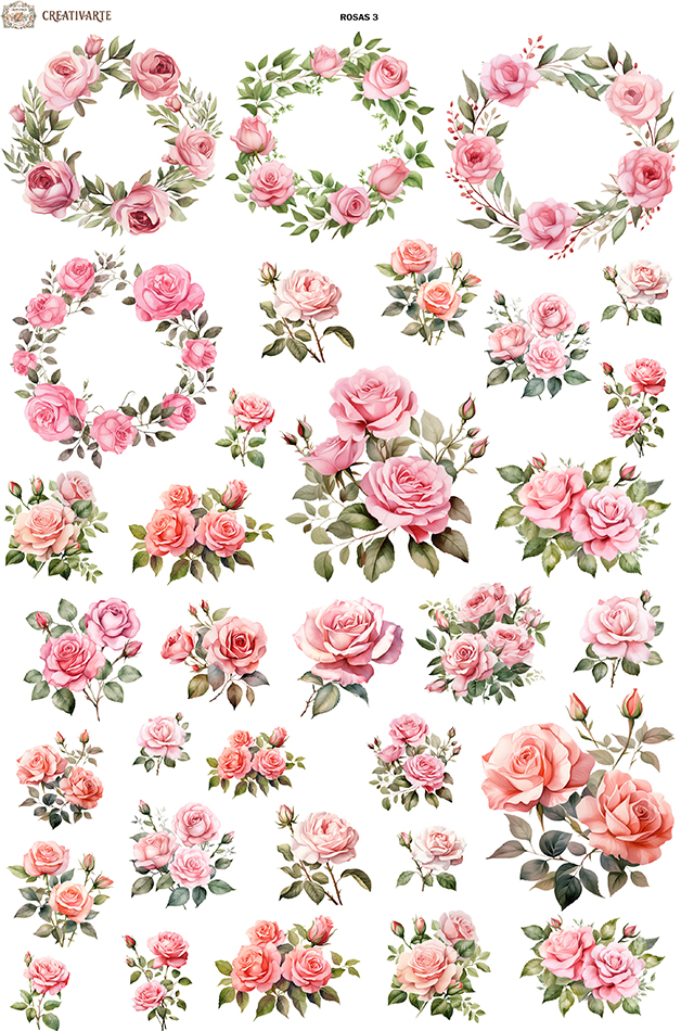 ROSAS3