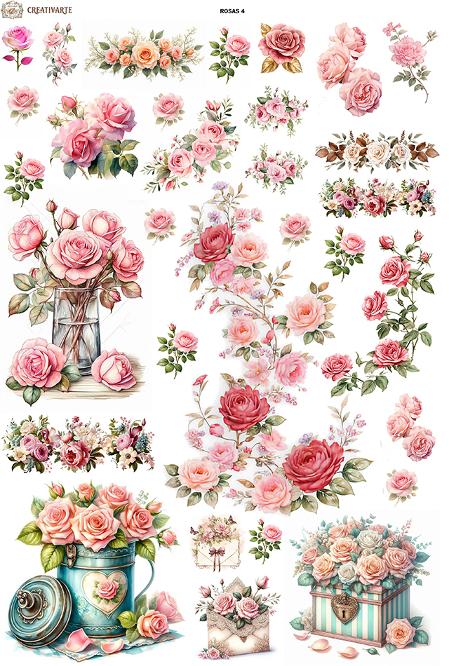 ROSAS4