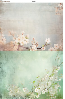 SAKURA002