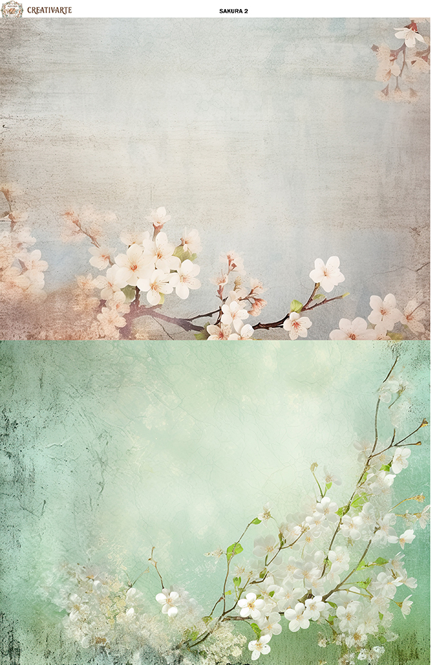 SAKURA002