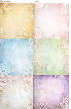 SAKURA004