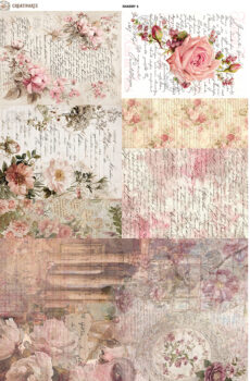 SHABBY1
