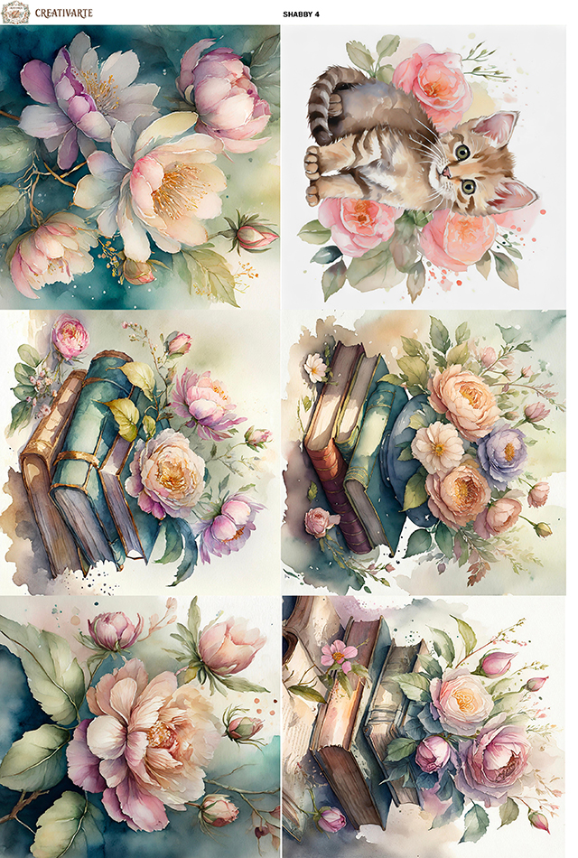 SHABBY4